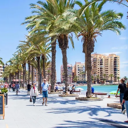 Espanatour Amarion *